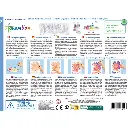 Aquarellum Junior - Dragons des 4 saisons 3.webp