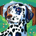 colorizzy-chiens 3.webp