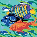 colorizzy-fonds-marins 4.webp