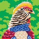 colorizzy-oiseaux 4.webp