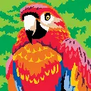 colorizzy-oiseaux 3.webp