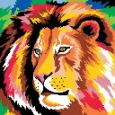colorizzy-savane 3.webp