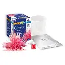 cristal-rouge 2.webp