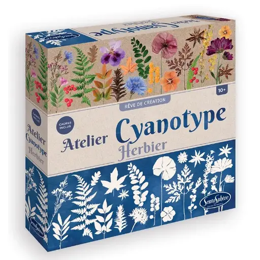 Atelier Cyanotype  - Herbier